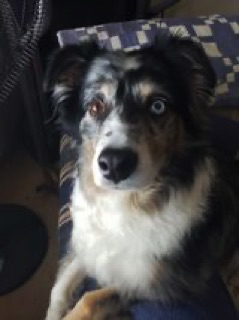 Finnegan 7